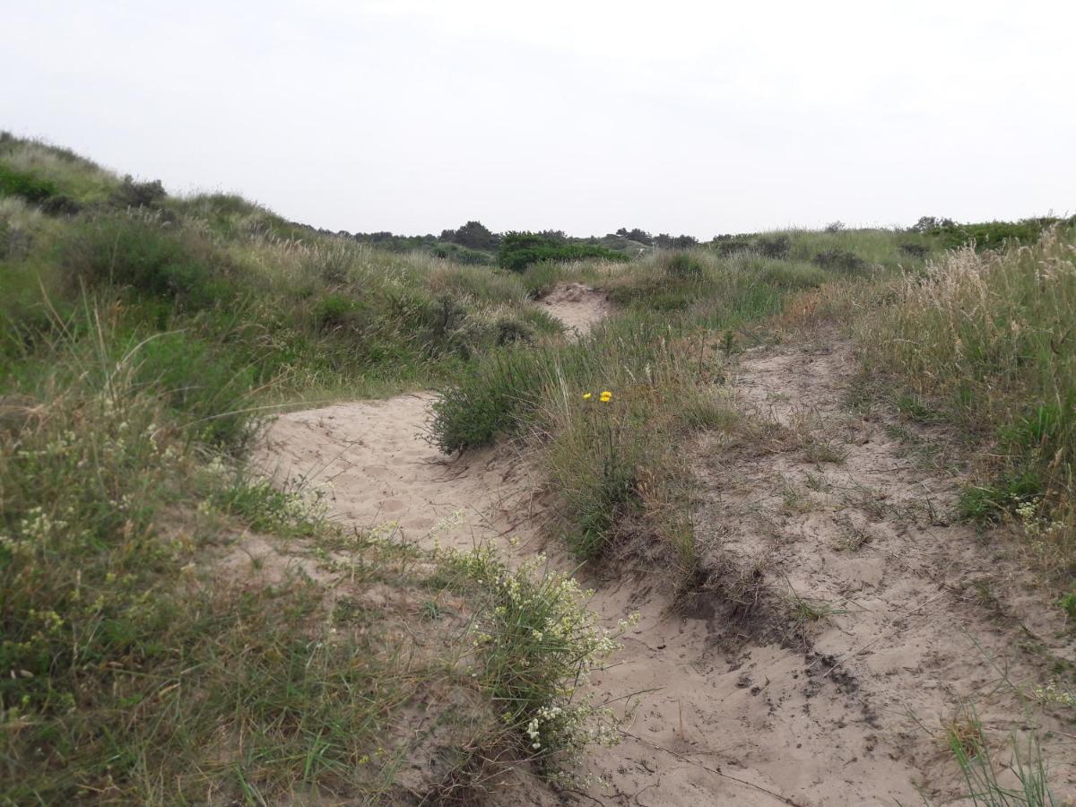 Dalile Aan Zee Vlakbij Het Chalet *