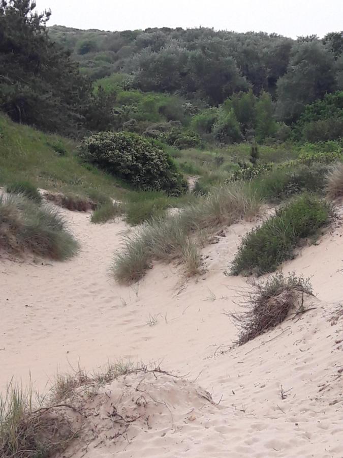 Dalile Aan Zee Vlakbij Het Chalet IJmuiden